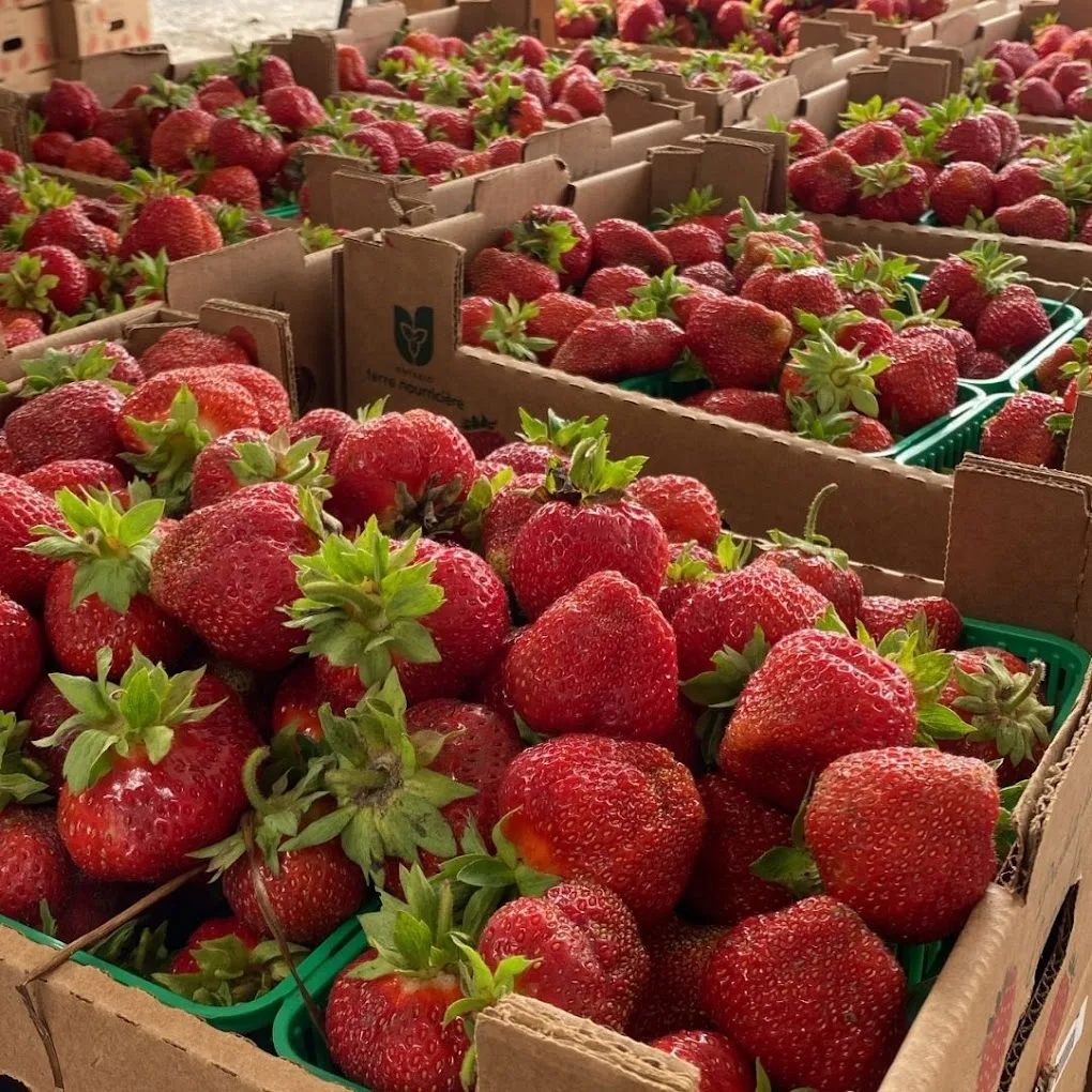 Pinehills Farm