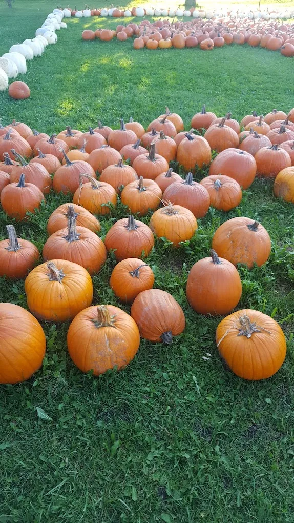 TJ's Farm Fresh